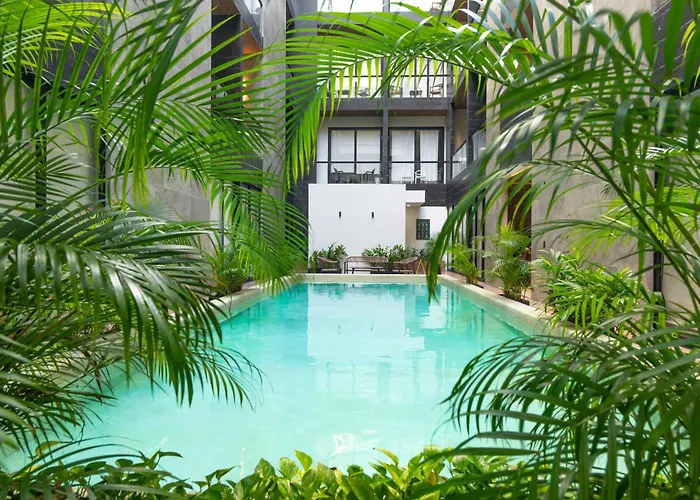 Musa Del Carmen By Boutique Mx Appartement